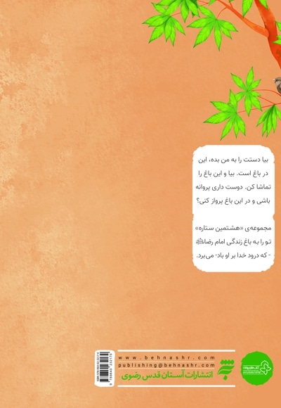 ماه زمین